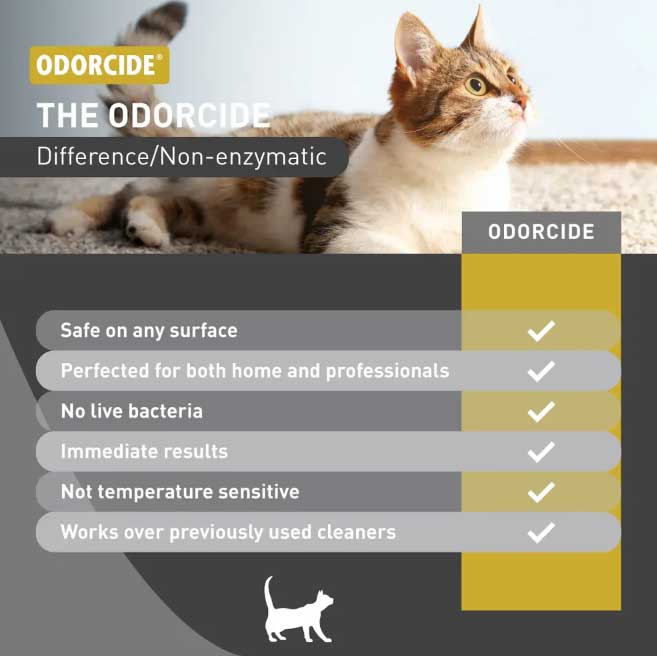 Cat Attack - Image 3