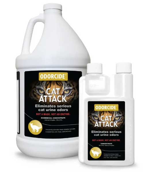 Cat Attack - Image 5