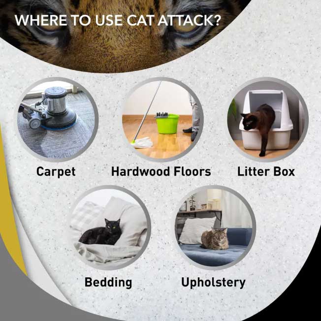 Cat Attack - Image 7