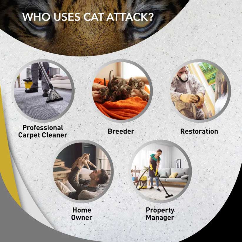 Cat Attack - Image 8
