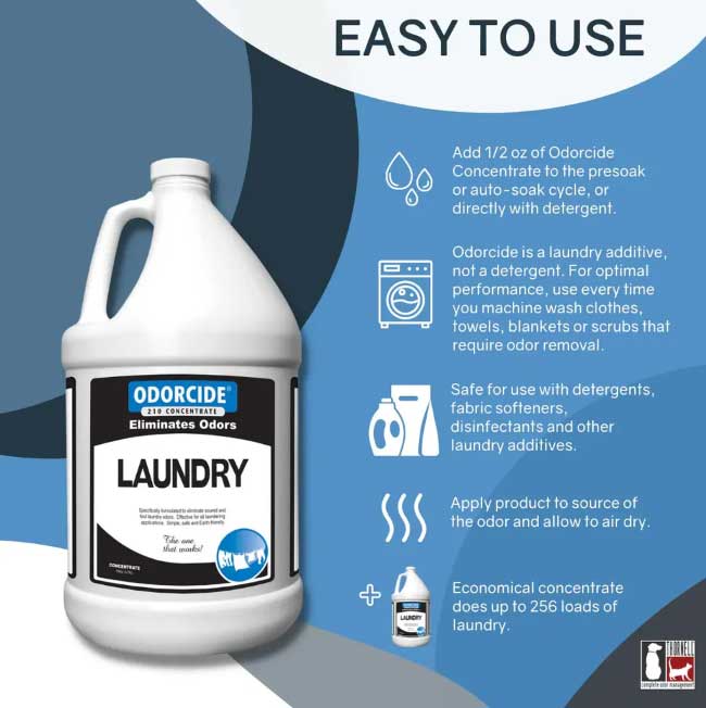 Laundry - Image 3