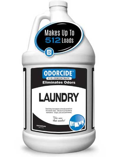 Laundry - Image 4