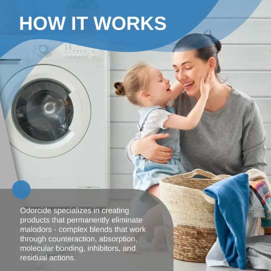 Laundry - Image 5