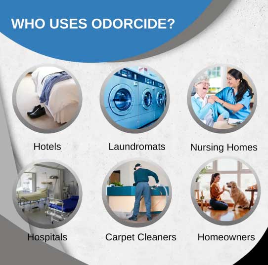 Laundry - Image 6